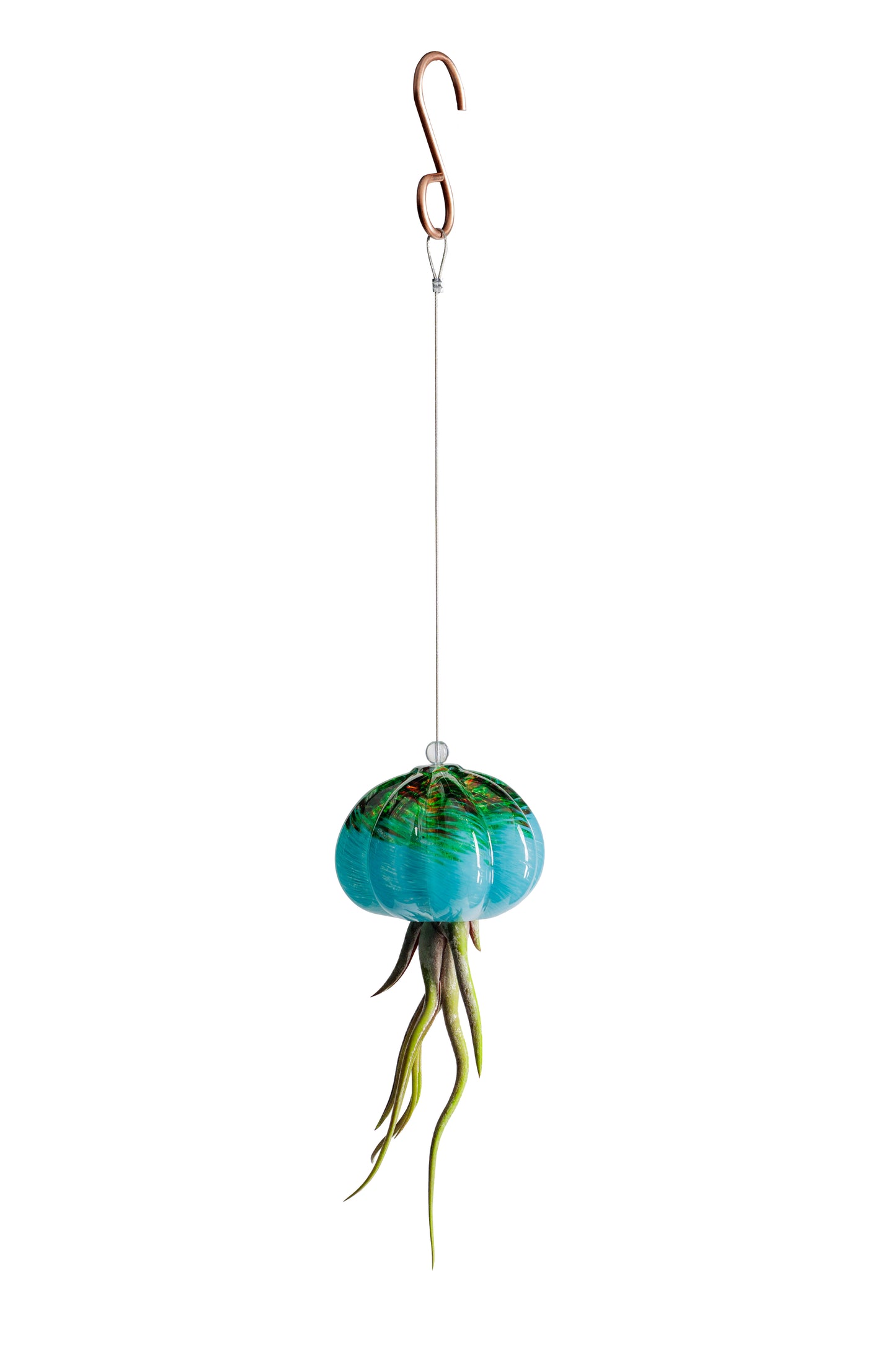Cauliflower Jellyfish Air Plant Holder with optional air plant