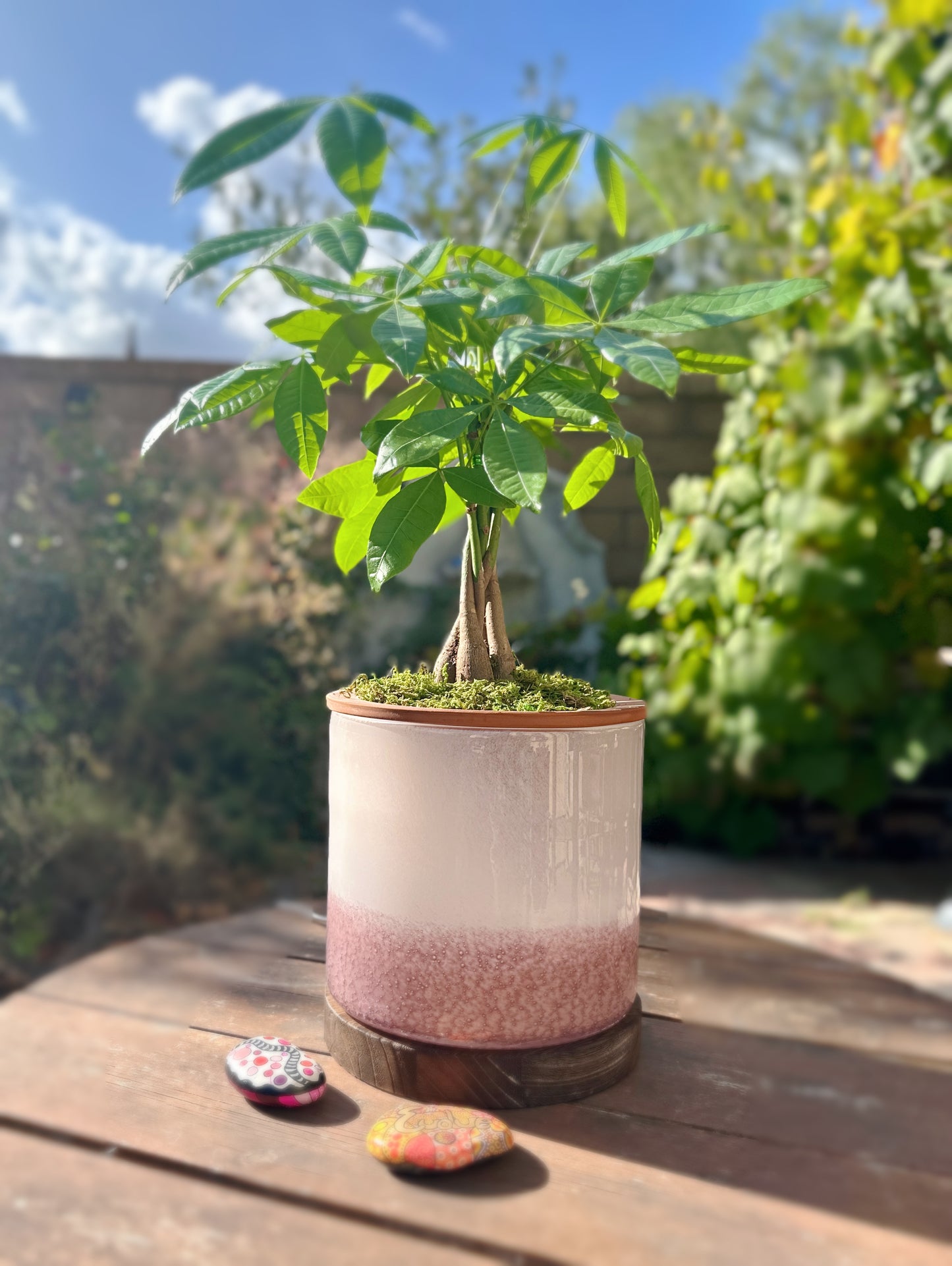 8" Art Glass LED Self Watering Planter