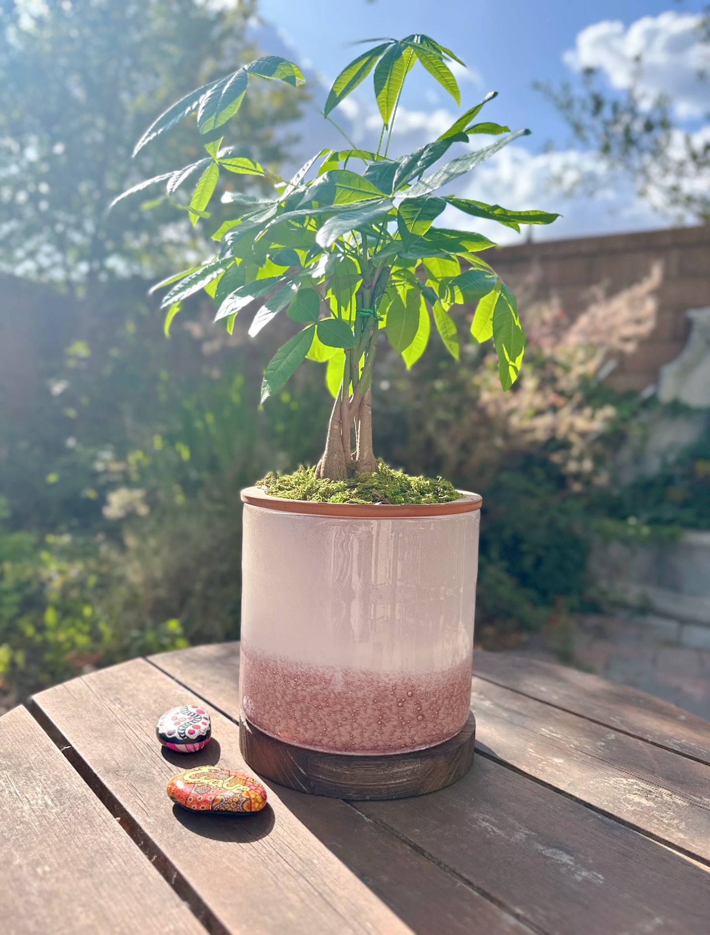 8" Art Glass LED Self Watering Planter