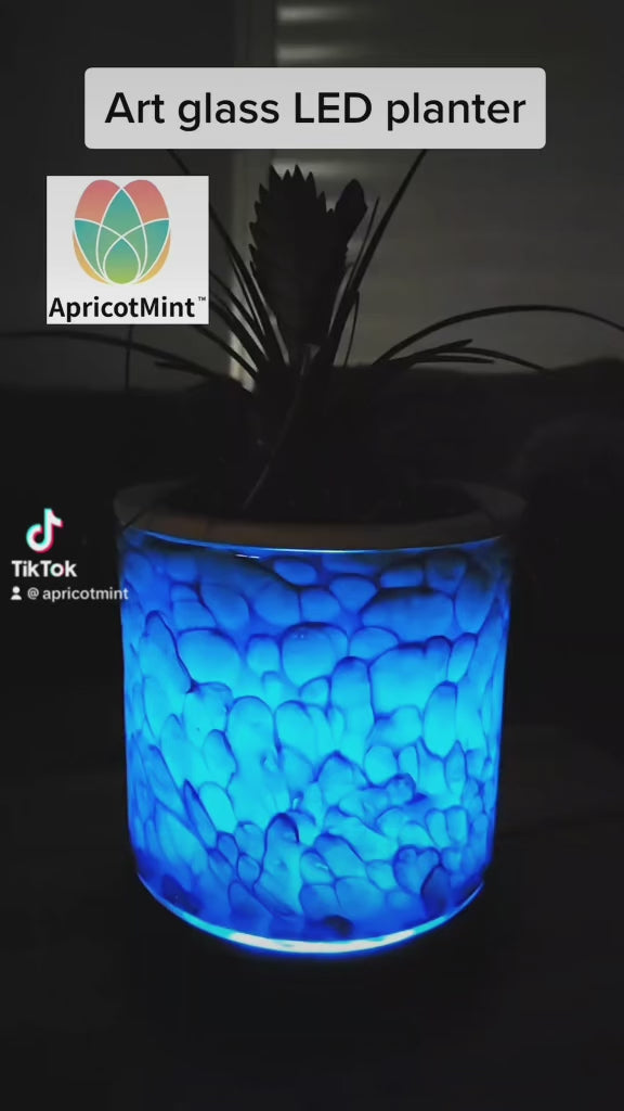 Glow In The Dark Flower Pots, Solar LED Planters