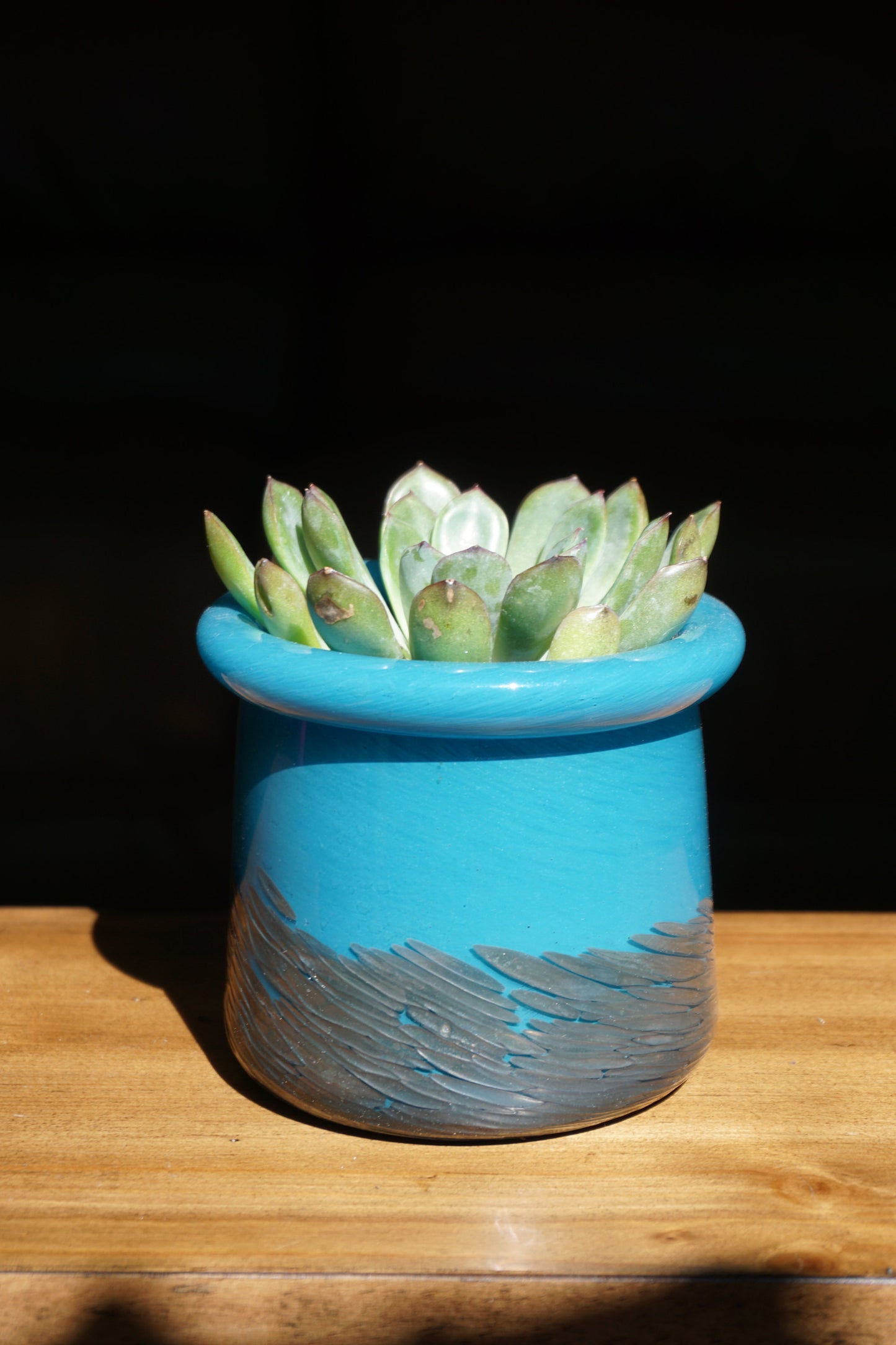Free US Shipping~ Set of 2, 4.3" Succulent Planter, Handblown Art Glass Planter with Bronze Feather Etching