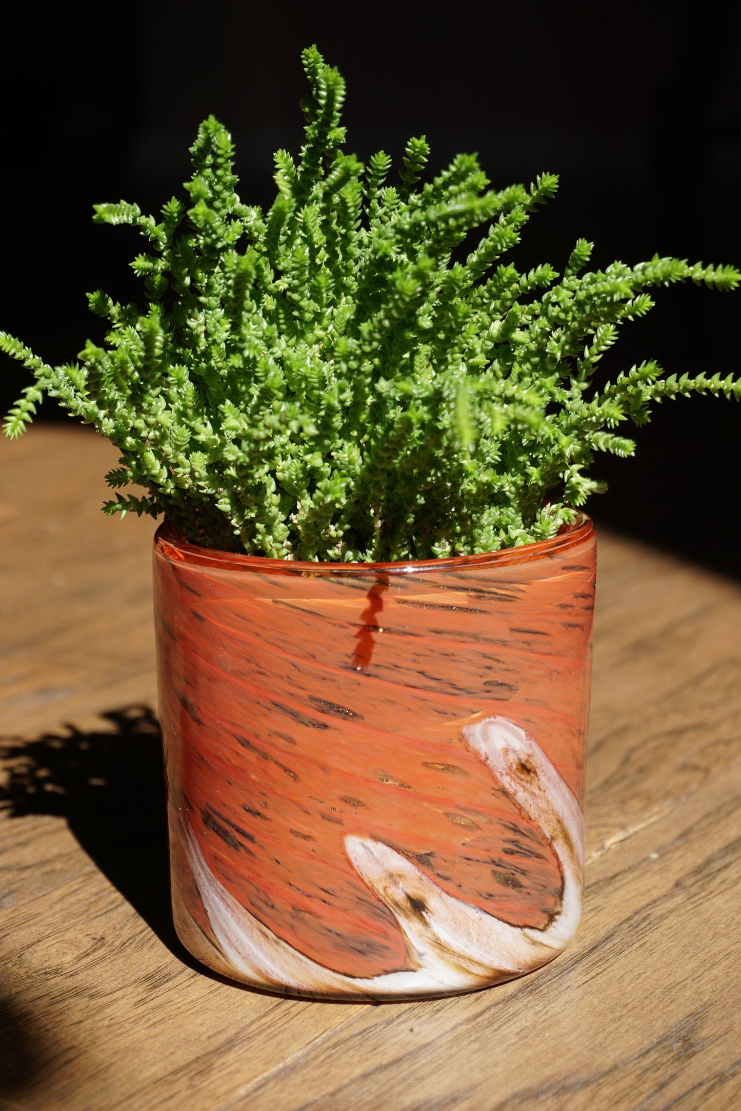 Free US Shipping~ Set of 2, 4.5" Succulent Planter, Handblown Art Glass Planter Wave Collection