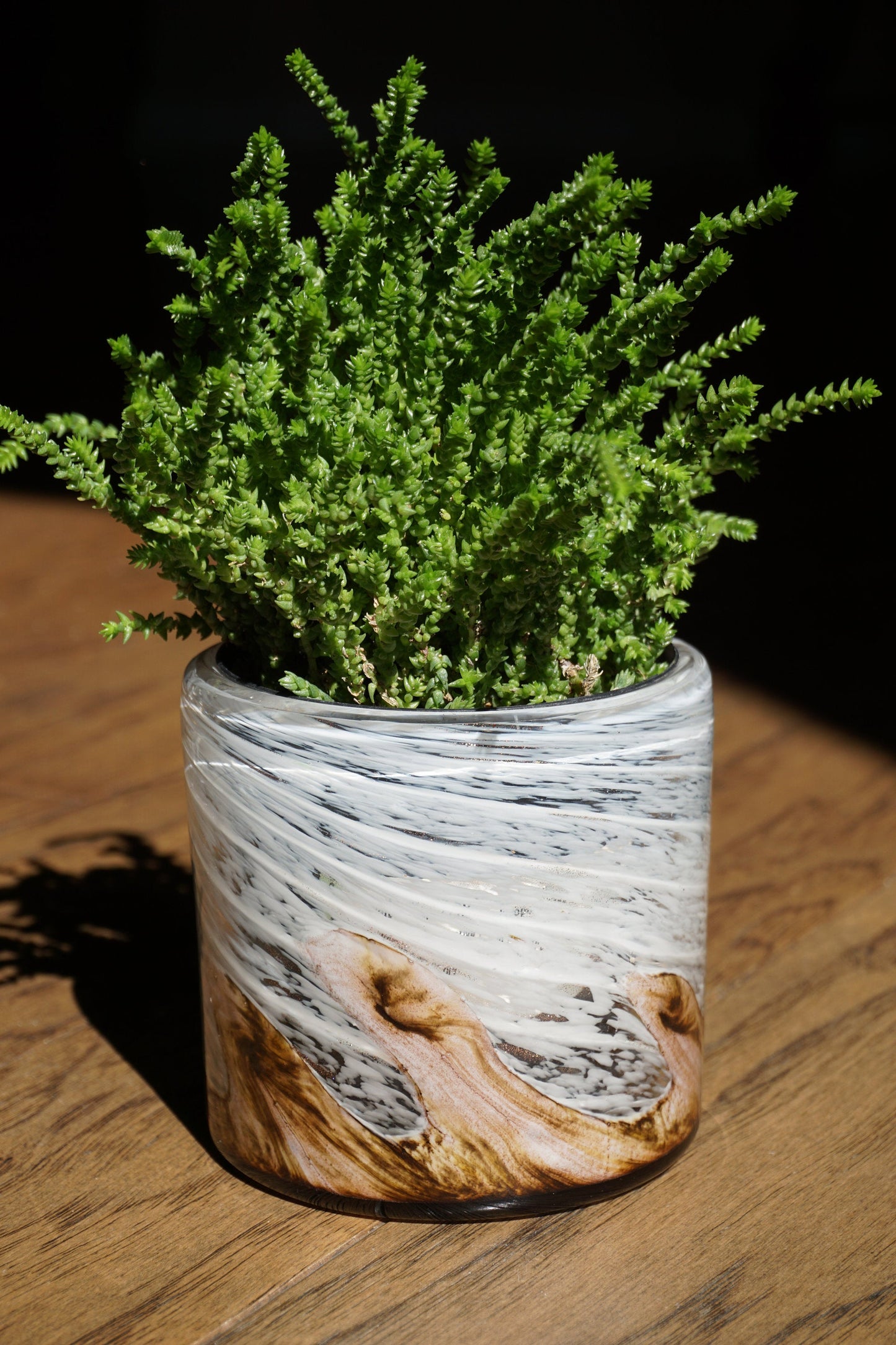 Free US Shipping~ Set of 2, 4.5" Succulent Planter, Handblown Art Glass Planter Wave Collection