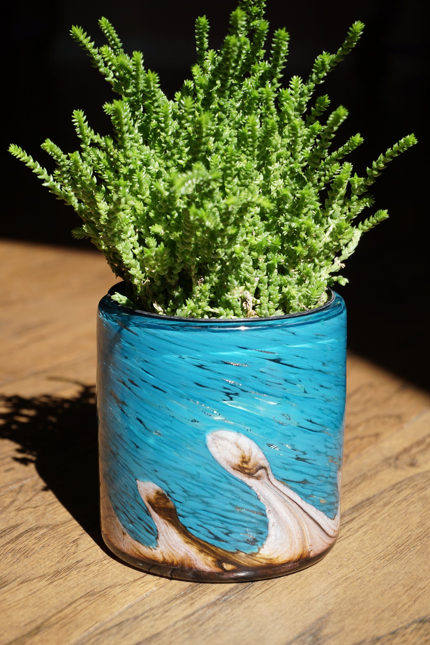 Free US Shipping~ Set of 2, 4.5" Succulent Planter, Handblown Art Glass Planter Wave Collection