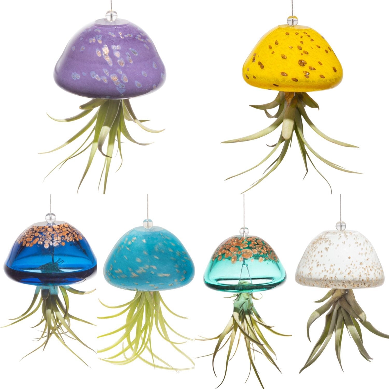 jellyfish plant hanger Hand Blown Art Glass Jellyfish with Optional Life Air Plant/Tillandsia