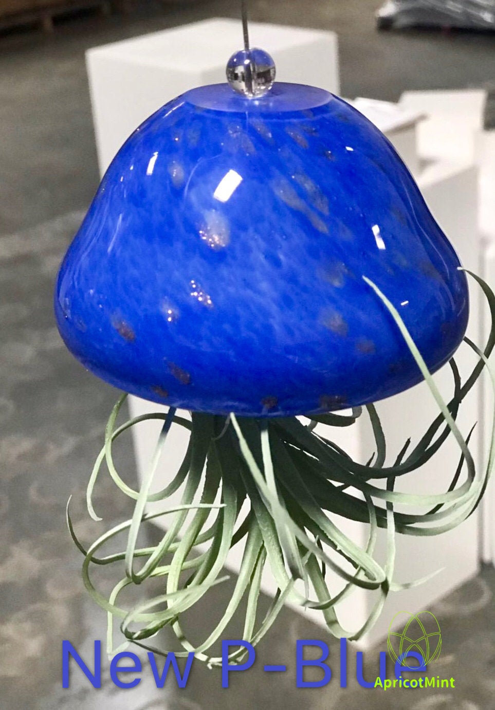Hand Blown Art Glass Jellyfish with Optional Life Air Plant/Tillandsia