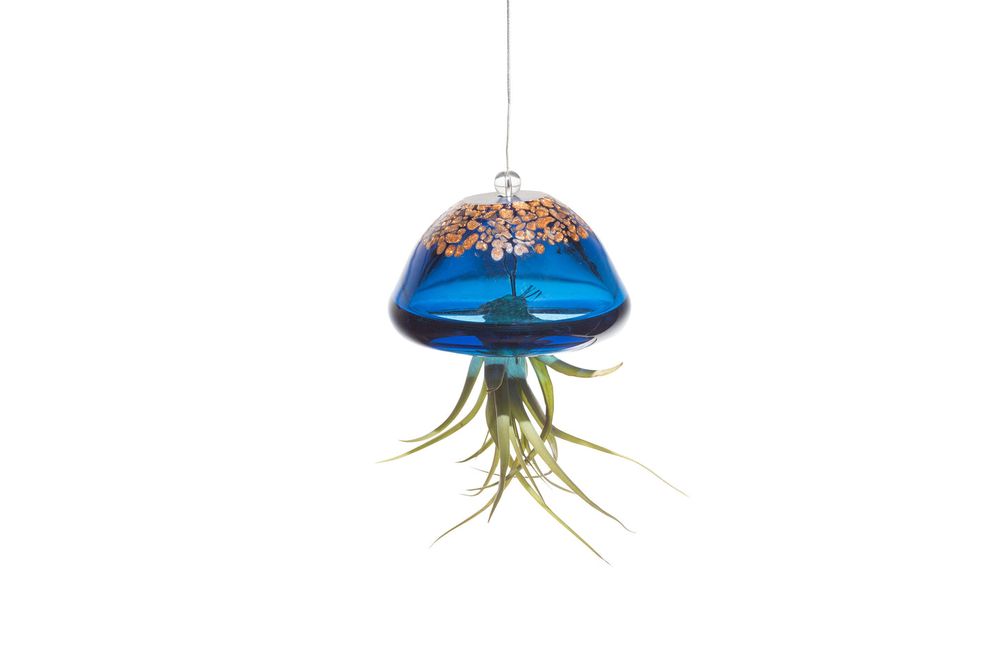 Hand Blown Art Glass Jellyfish with Life Air Plant/Tillandsia
