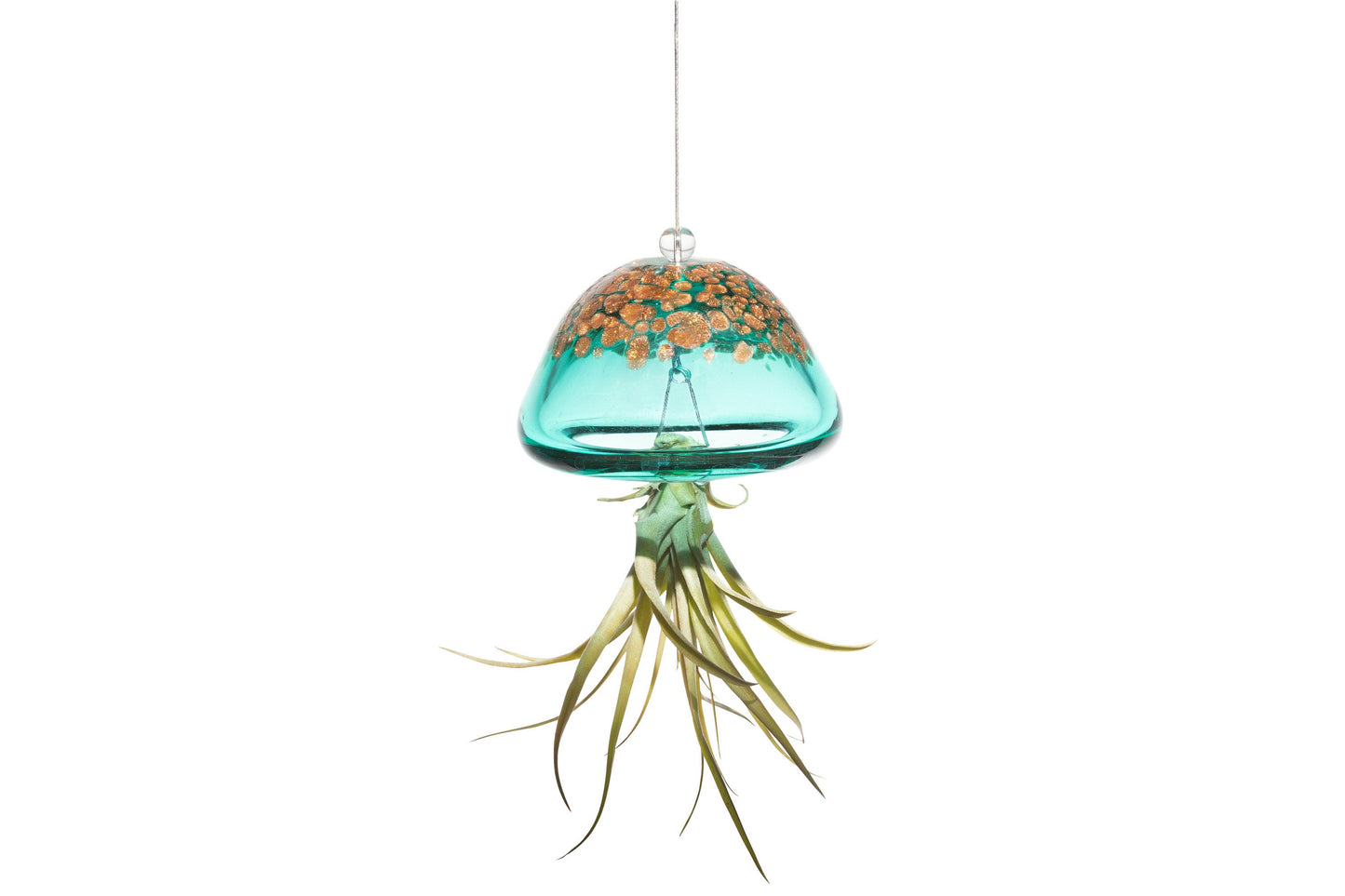 Hand Blown Art Glass Jellyfish with Optional Life Air Plant/Tillandsia