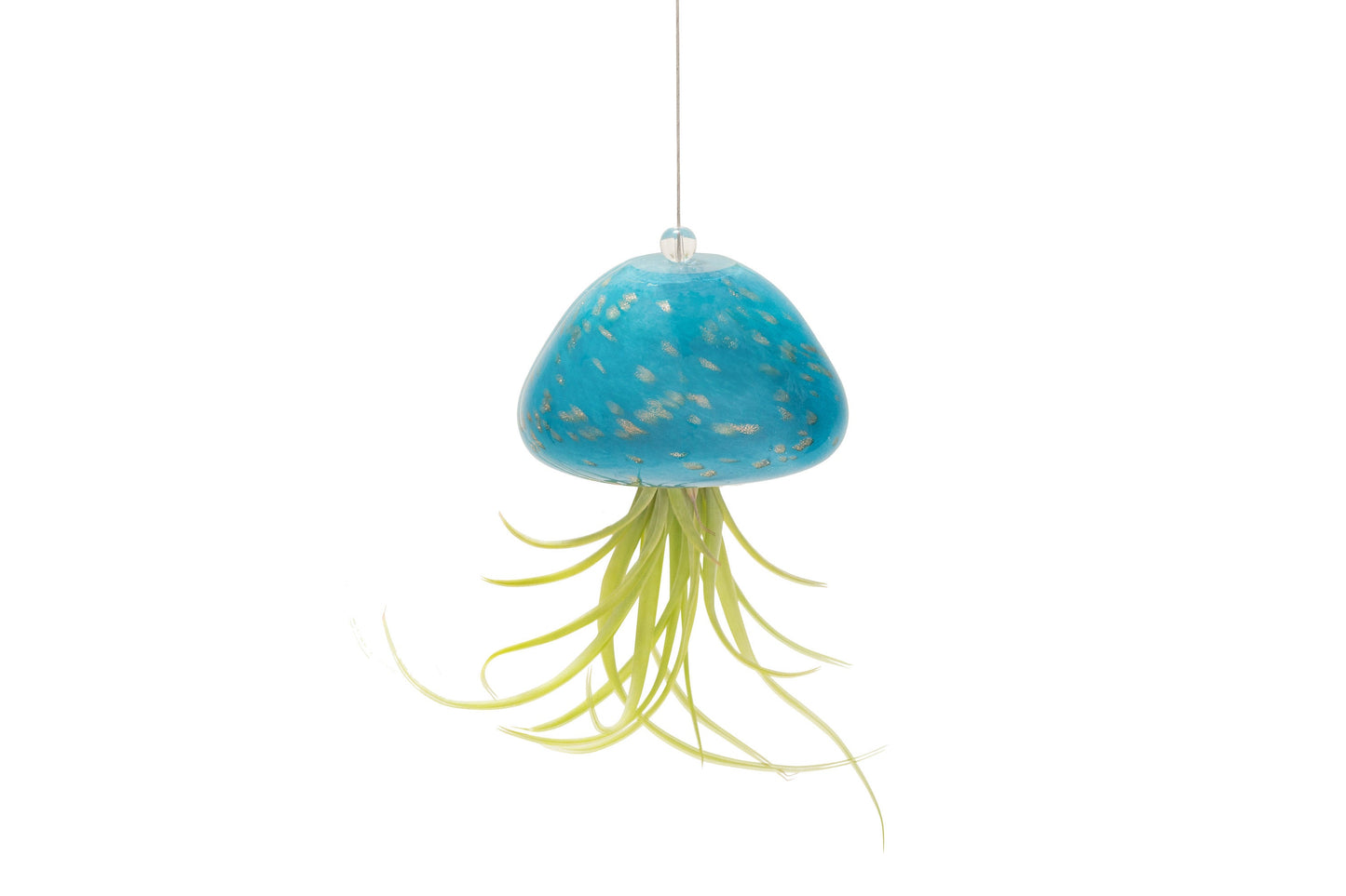 Hand Blown Art Glass Jellyfish with Optional Life Air Plant/Tillandsia