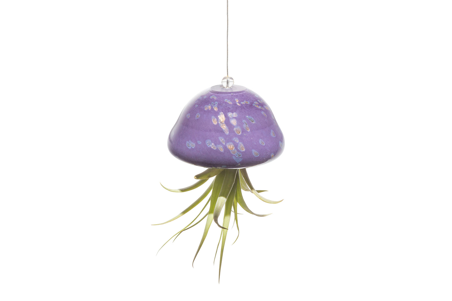 Hand Blown Art Glass Jellyfish with Optional Life Air Plant/Tillandsia