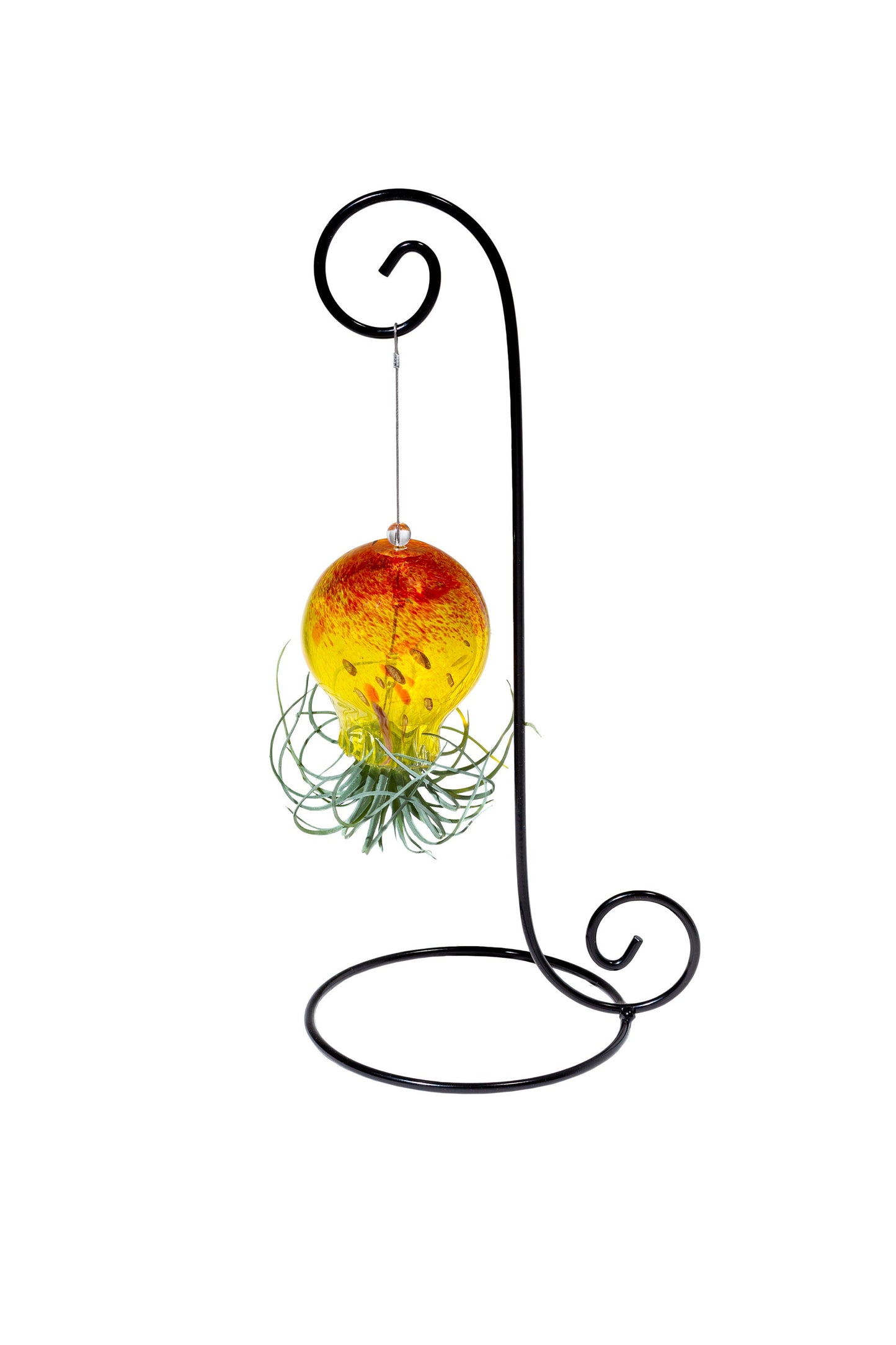 Hand Blown Art Glass Octopus with Air Plant/Tillandsia
