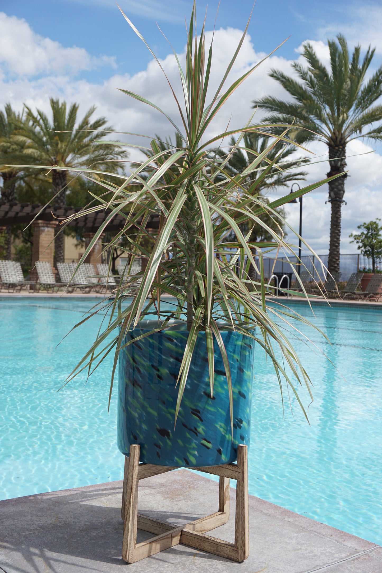 12" Hand Blown Art Glass Planter on Wood Stand