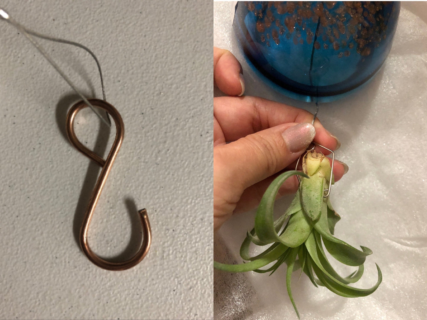 Hand Blown Art Glass Jellyfish with Optional Life Air Plant/Tillandsia