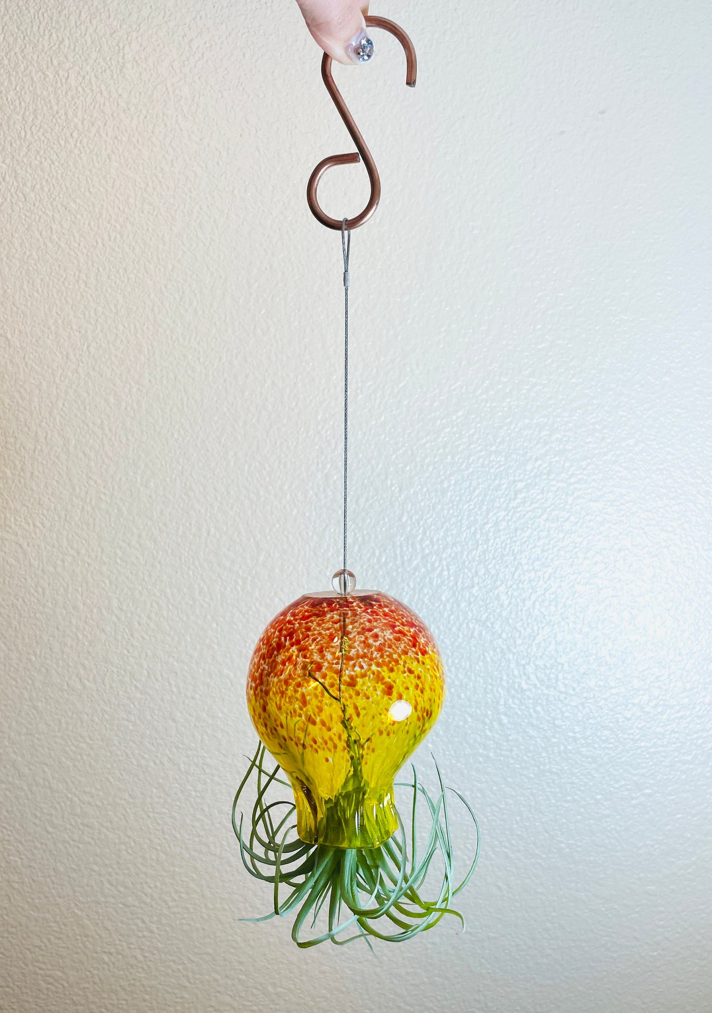 Hand Blown Art Glass Octopus with Air Plant/Tillandsia