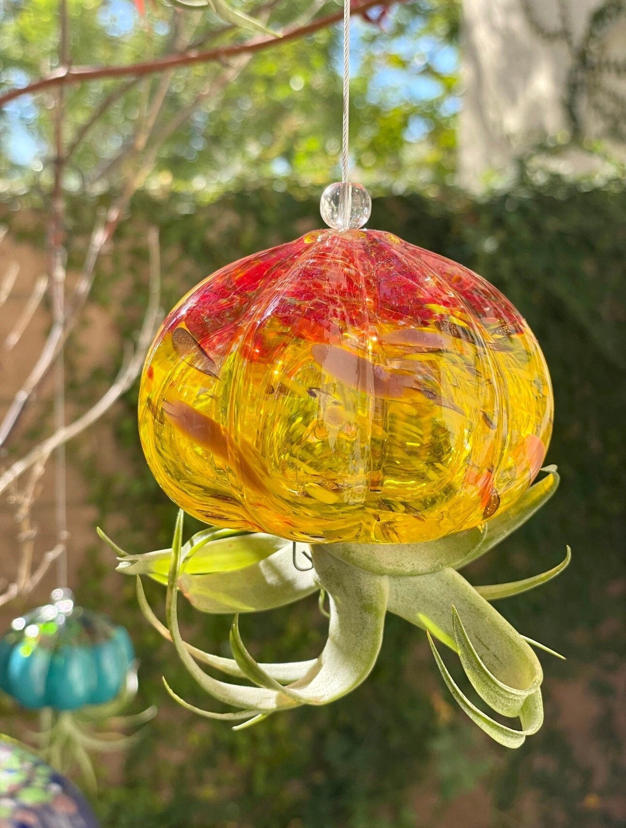 air plant christmas ornament Cauliflower Jellyfish Air Plant Holder with optional air plant – ApricotMint