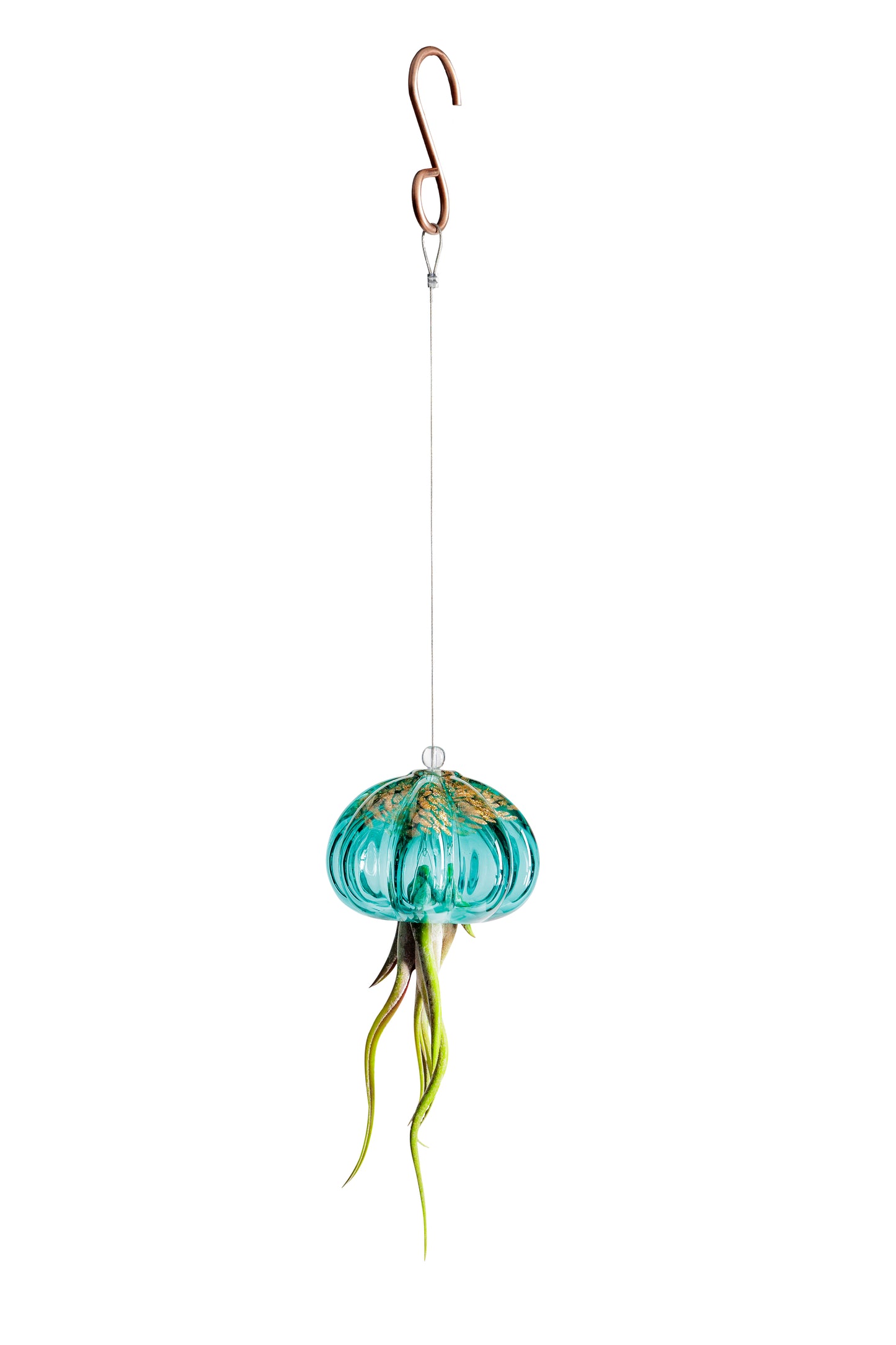 Cauliflower Jellyfish Air Plant Holder