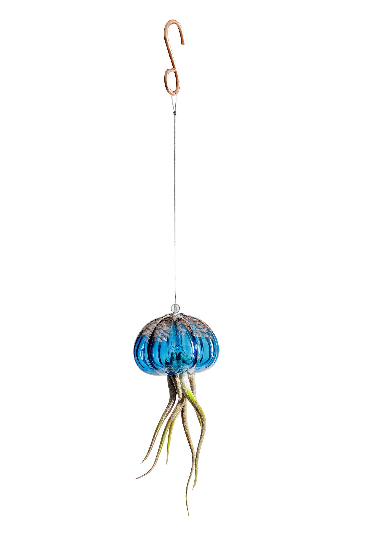 Cauliflower Jellyfish Air Plant Holder