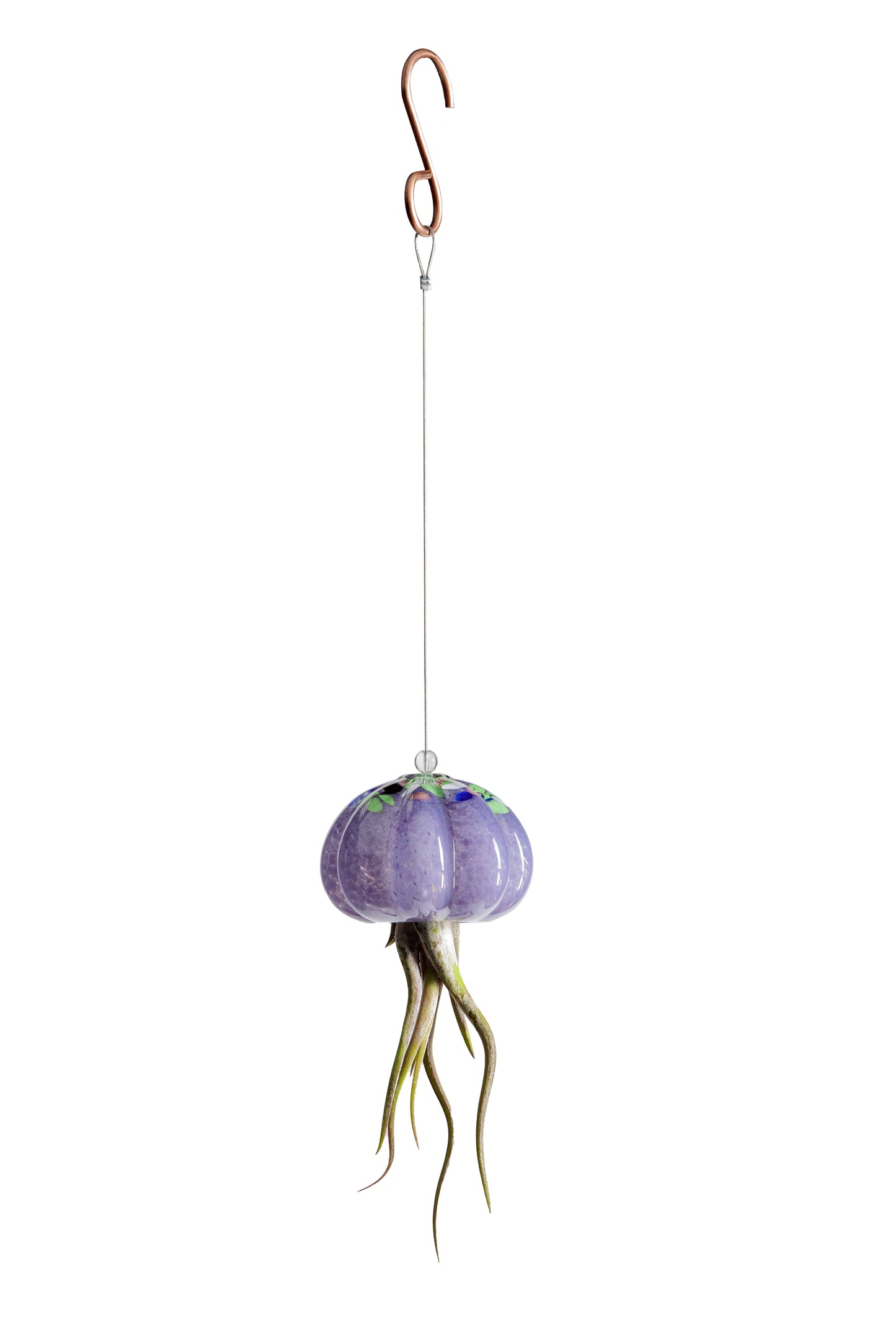 Cauliflower Jellyfish Air Plant Holder