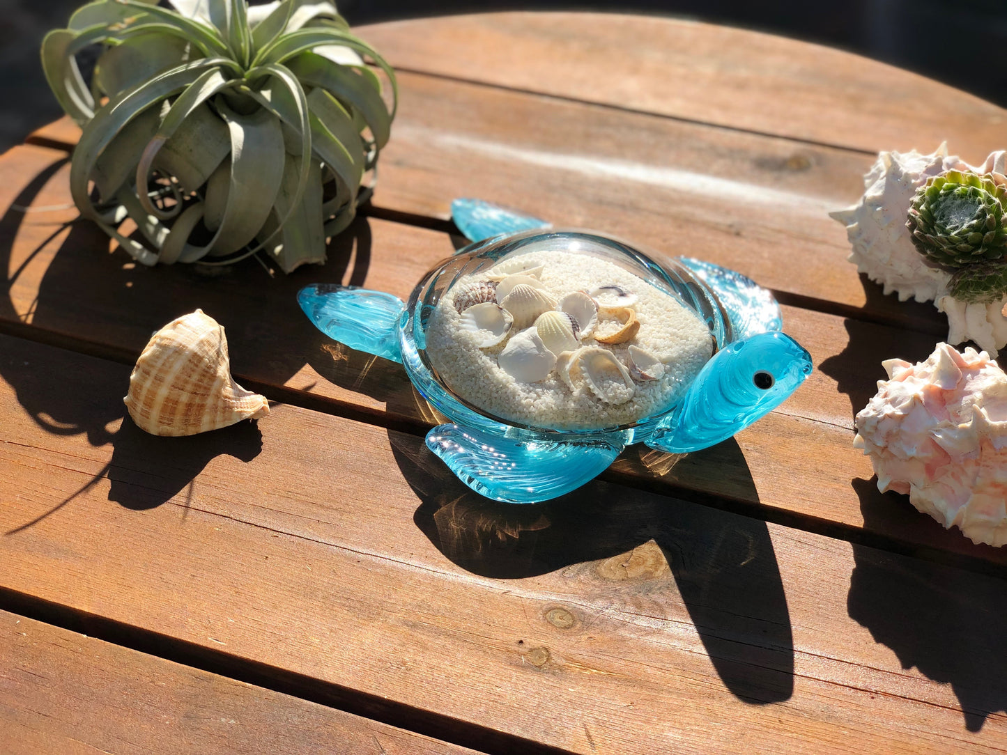 10" Handblown art glass Sea Turtle Decor with natural sea shell and sand