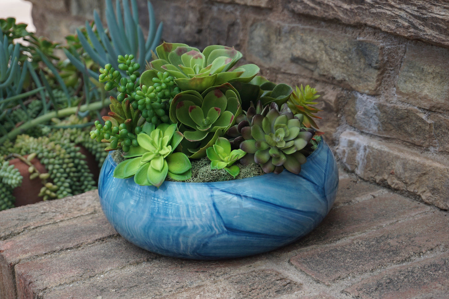 10" Art Glass Low Bowl Planters/Succulent Planters