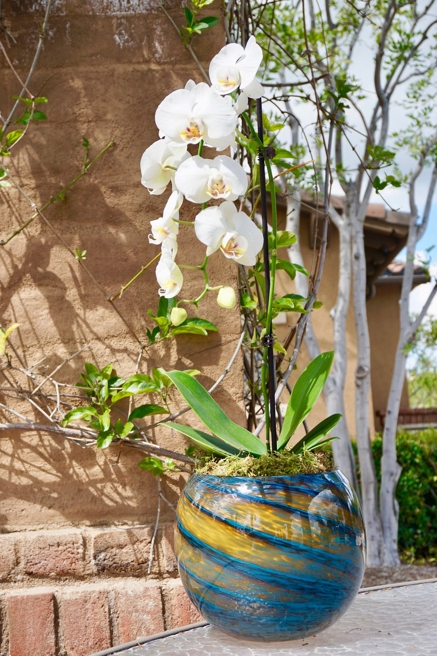 8" Handblown Art Glass Succulent Orb/Planter/Vase/Candle holder, Teal & Amber Swirl