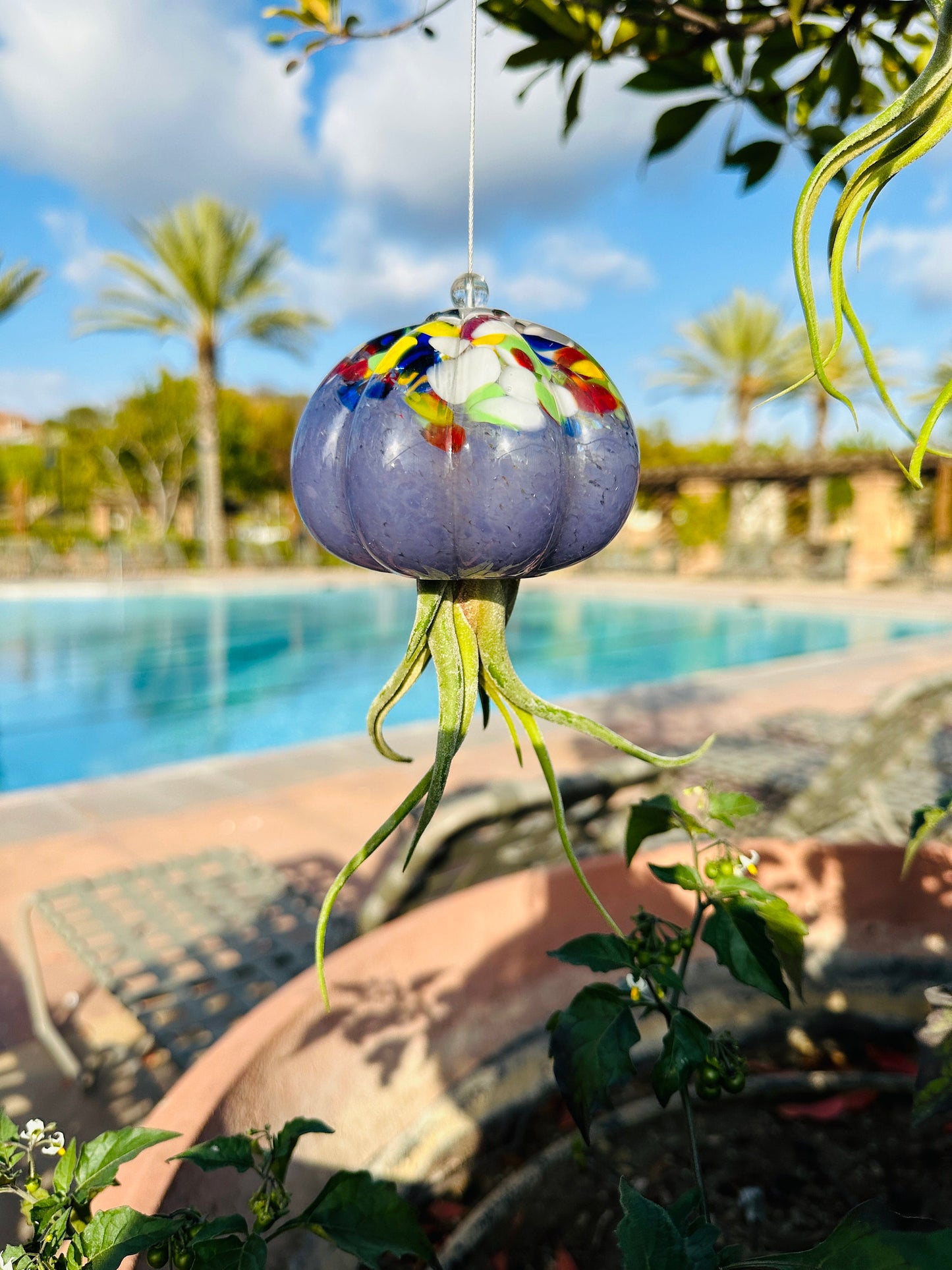 Cauliflower Jellyfish Air Plant Holder