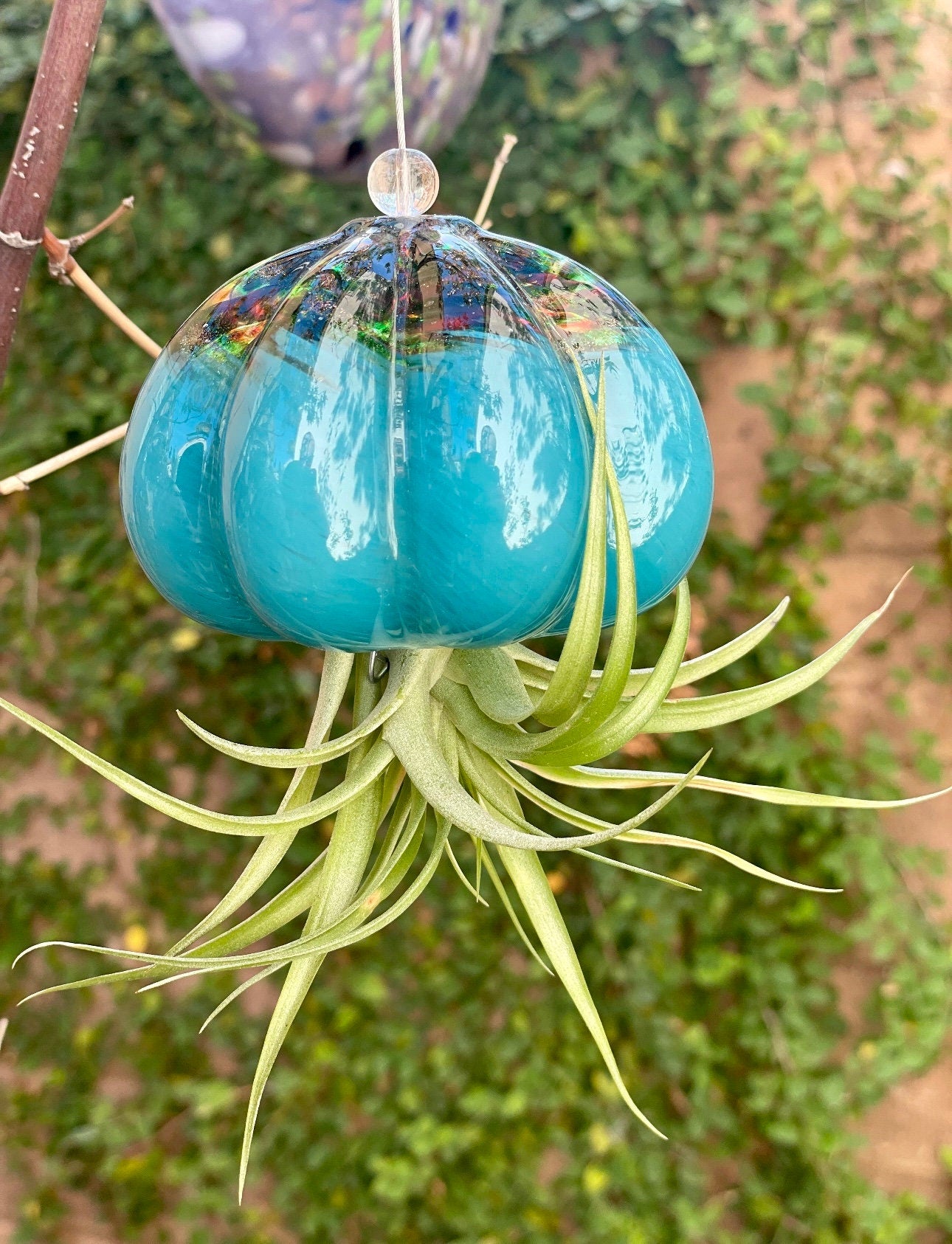 Cauliflower Jellyfish Air Plant Holder